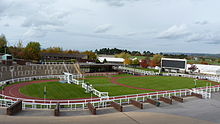 Winners' enclosure - Cheltenham odds and free bets